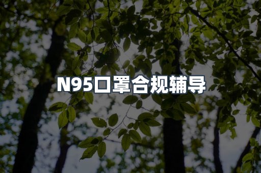 N95口罩合规辅导